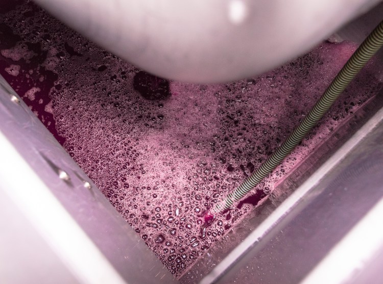 #pastoris #wine #viverone #erbaluce #nebbiolo #alto_piemonte